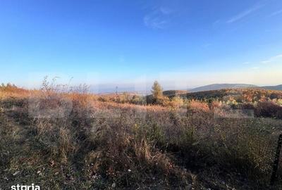 Teren de 5300 mp, în Râmeț