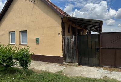 Casă individuală cu 2 camere cu Teren 1500 Mp în Central - 2