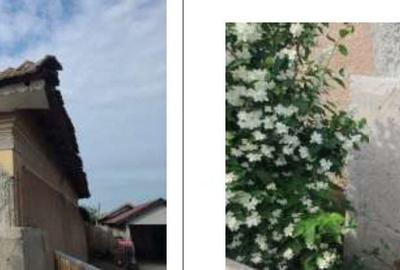 Casă cu 4 camere cu Teren 1269 Mp în Saelele - 7
