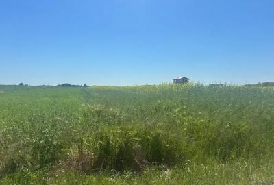 Teren agricol intravilan de 500 mp, în Berceni - 2