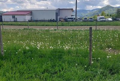 Teren de 2630 mp, în Vama Buzăului