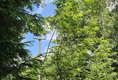 Teren de 3436 mp, în Ceahlău - 5