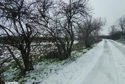 Teren de 640 mp, în Mischii - 3