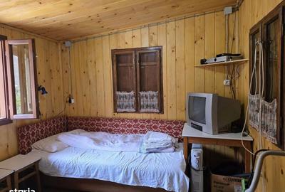 Casă cu 2 camere cu Teren 750 Mp în Pietroasa - 4