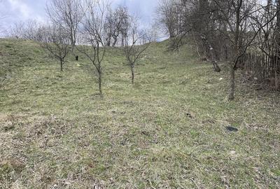 Teren de 2300 mp, în Secăria - 1