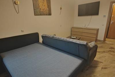 Garsonieră în Tineretului - 6