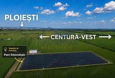 Teren de 10000 mp, în Vest