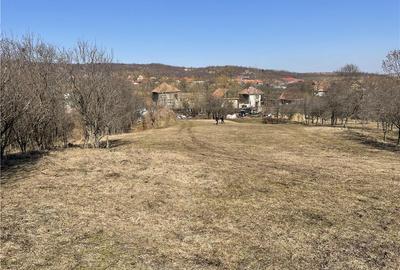 Teren de 3382 mp, în Central - 2