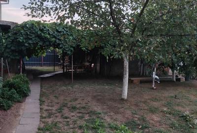 Apartament cu 2 camere decomandat în Remetea Mare - 2
