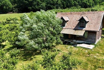 Teren de 5000 mp, în Periferie - 3