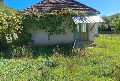 Casă individuală cu 3 camere cu Teren 5400 Mp în Petriș - 1