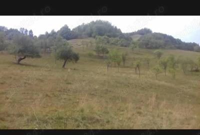 Casă cu 5 camere cu Teren 70000 Mp în Blăjeni - 2