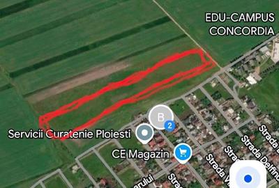 Casă cu Teren 41330 Mp în Vest