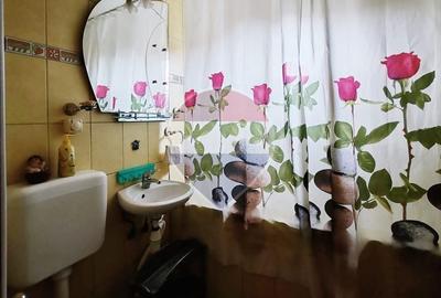Apartament cu 3 camere semidecomandat, mobilat în Rogerius - 8