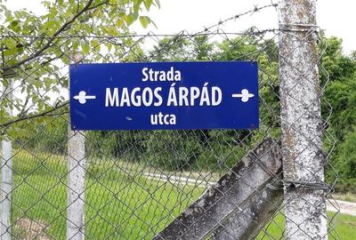 Teren de 6670 mp, în Viile Satu Mare - 6