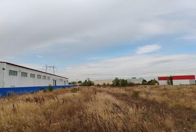 Spațiu industrial, de 1,238 mp, în Bolintin-Deal - 3