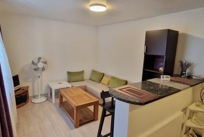 Apartament cu 2 camere decomandat, mobilat în Bariera Vâlcii