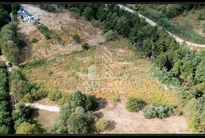 Teren de 5000 mp, în Borlova