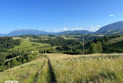 Teren de 2000 mp, în Poiana Mărului - 6