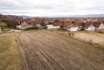 Teren Construcții intravilan de 2261 mp, în Tinăud - 9