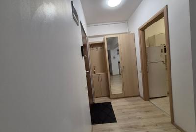 Apartament cu 2 camere decomandat în Iancu Nicolae - 9