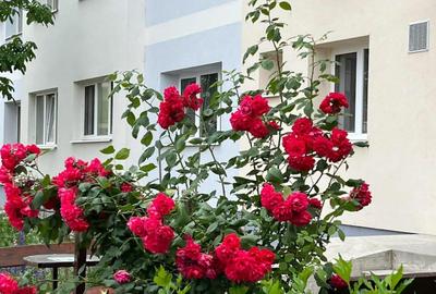 Apartament cu 2 camere semidecomandat în Sânmartin - 6