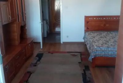Garsonieră în Brazda lui Novac - 2