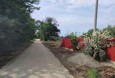 Spațiu comercial, în Hotarele - 5
