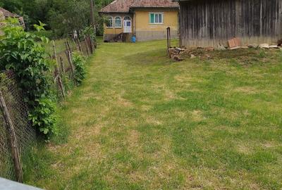 Casă cu Teren 3400 Mp în Mociu - 3