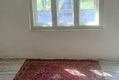 Casă cu 3 camere în Voivodeni - 3