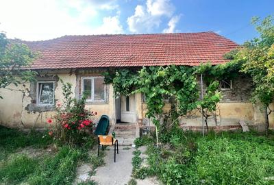 Casă individuală cu 2 camere cu Canalizare în Central - 1