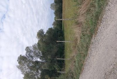 Teren de 4712 mp, în Dumbrăveni - 3