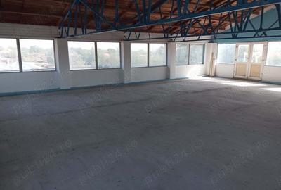 Teren de 2500 mp, în Tismana - 3