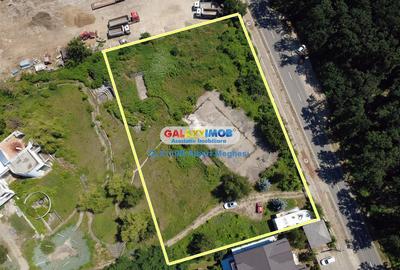 Teren Construcții intravilan de 5000 mp, în Snagov - 25