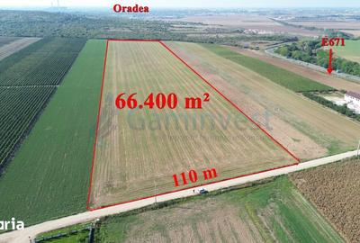 Teren de 66400 mp, în Central - 16