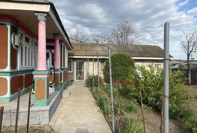 Casă cu Teren 1263 Mp în Valea Mărului - 4