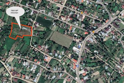 Teren Construcții intravilan de 7800 mp, în Vulturu - 1