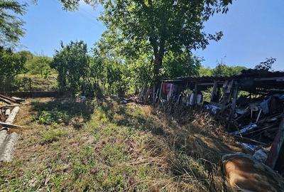 Casă cu Teren 8338 Mp în Făgețel