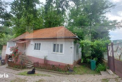 Casă cu 7 camere cu Teren 1980 Mp în Vâlcele - 9