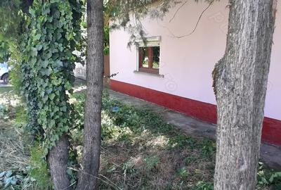 Casă cu 3 camere cu Teren 1200 Mp în Central - 12