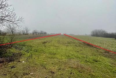 Teren de 6105 mp, în Sălciile - 4