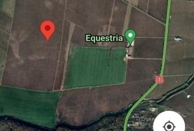 Teren agricol extravilan de 50000 mp, în Snagov - 2