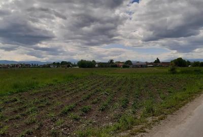 Teren de 5000 mp, în Lunca Calnicului - 8