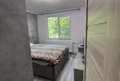 Apartament cu 2 camere decomandat în Drumul Taberei - 4