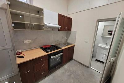 Garsonieră semidecomandată, mobilată în Iosefin