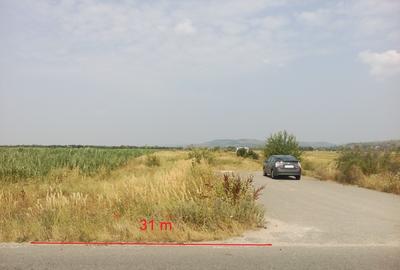Teren Construcții intravilan de 6400 mp, în Vest - 1