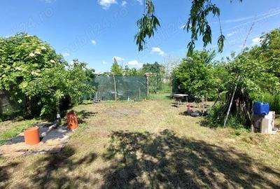 Teren de 1500 mp, în Frumușani - 3