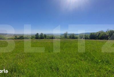 Teren de 36200 mp, în Ozun - 3