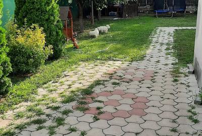 Casă cu 4 camere cu Teren 350 Mp în Șega