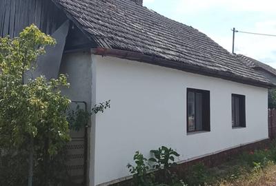 Casă cu 2 camere în Peregu Mare - 3